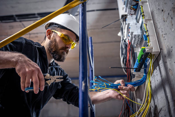 Best Electric Panel Repair  in Spicer, MN